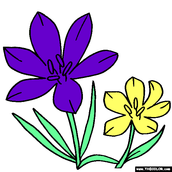 4,587+ Free Online Coloring Pages | TheColor.com