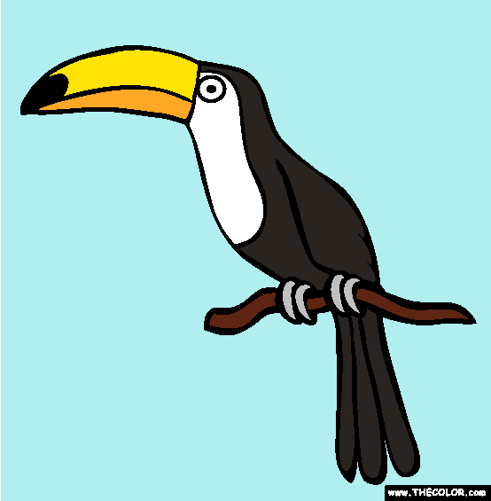 Toucan Coloring Page
