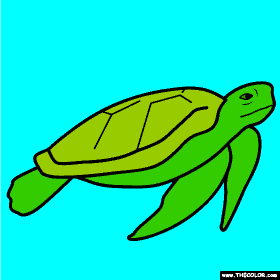 Ocean Turtle Coloring Page