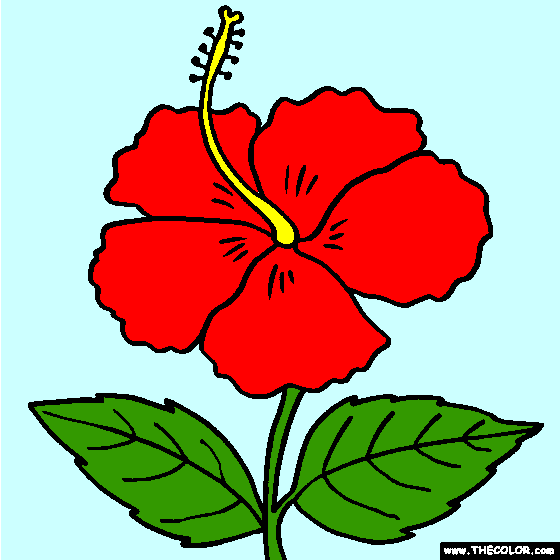 Hibiscus Flower Online Coloring Page