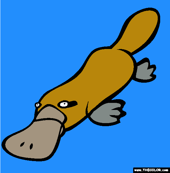 Duckbill Platypus Coloring Page