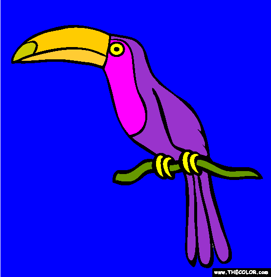 Toucan Coloring Page