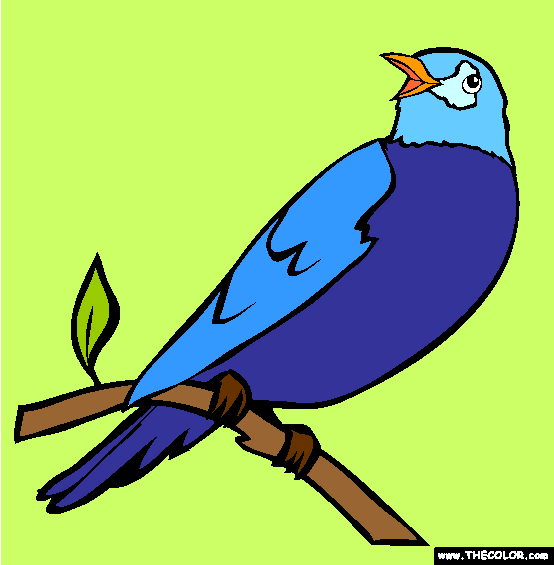 Perched Robin Coloring Page