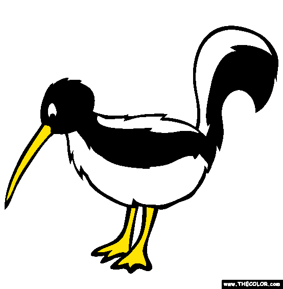 Kiwi Skunk Coloring Page