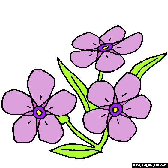 Forget Me Not Flower Myosotis online coloring page
