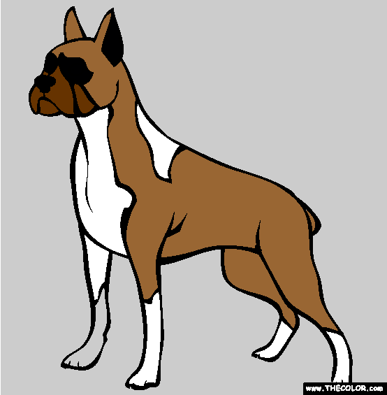 Boxer Coloring Page