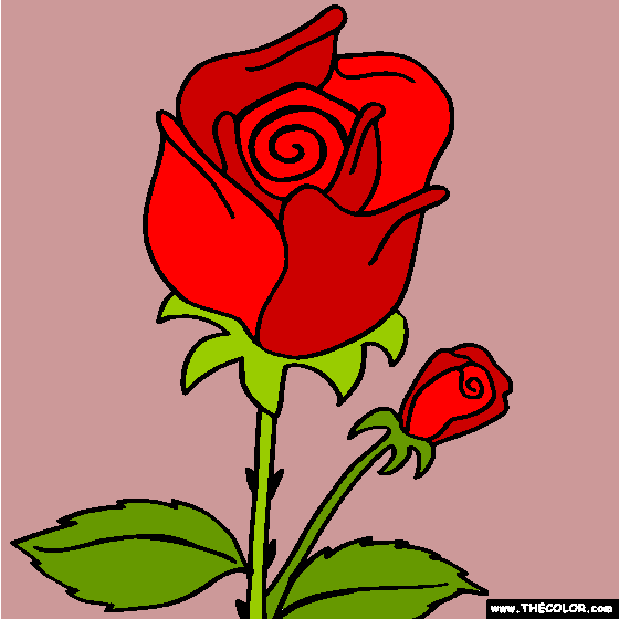 Rose Flower Coloring Page