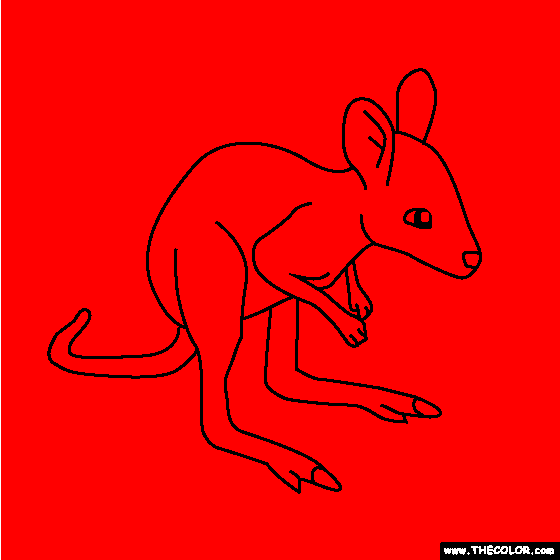 Baby Kangaroo Coloring Page