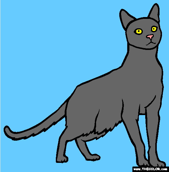 Havana Brown Cat Online Coloring Page