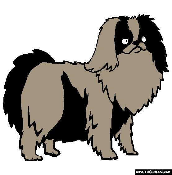 Japanese Chin Coloring Page