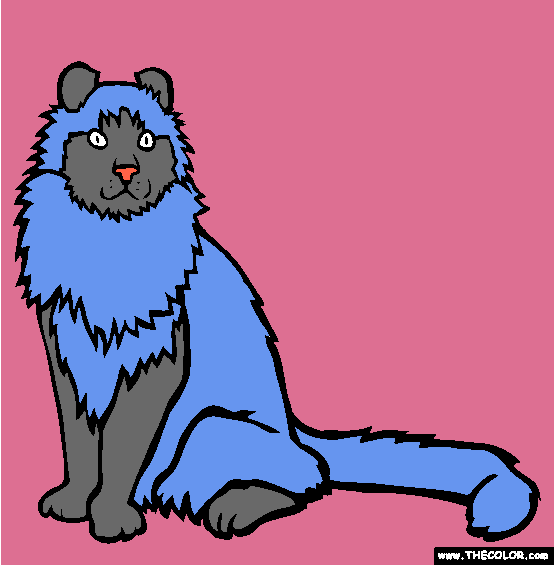 American Curl Cat Coloring Page