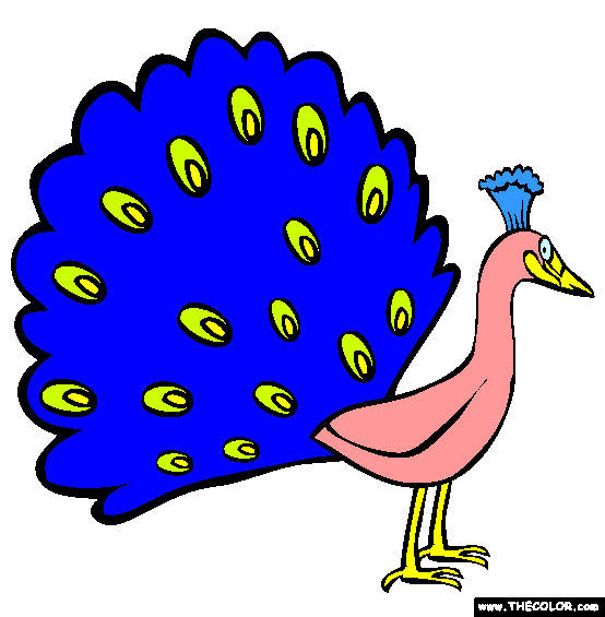 Peacock Coloring Page