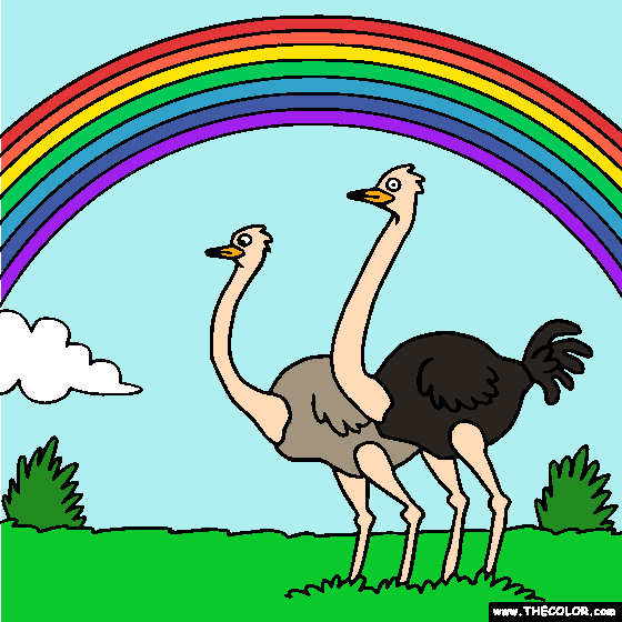 Rainbow and Ostrich Online Coloring Page