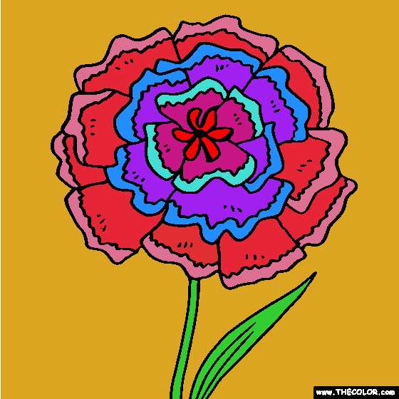 Carnation flower online coloring page