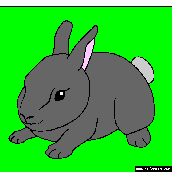 Baby Bunny Coloring Page