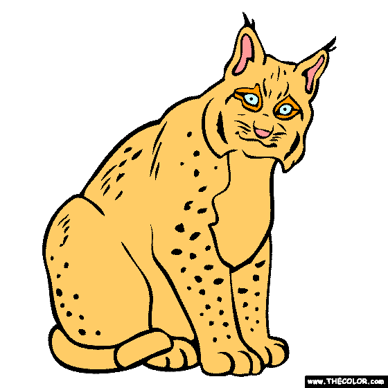 Lynx Coloring Page