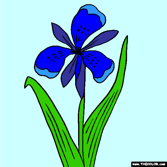 Iris Flower Online Coloring Page