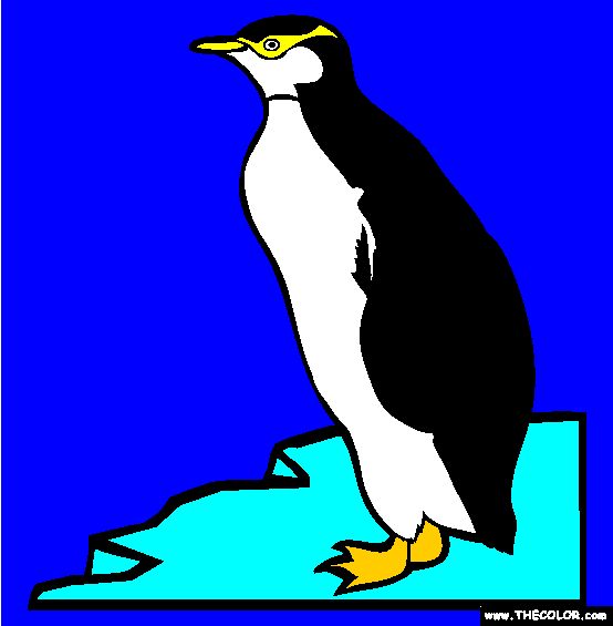 Yellow Eyed Penguin Coloring Page