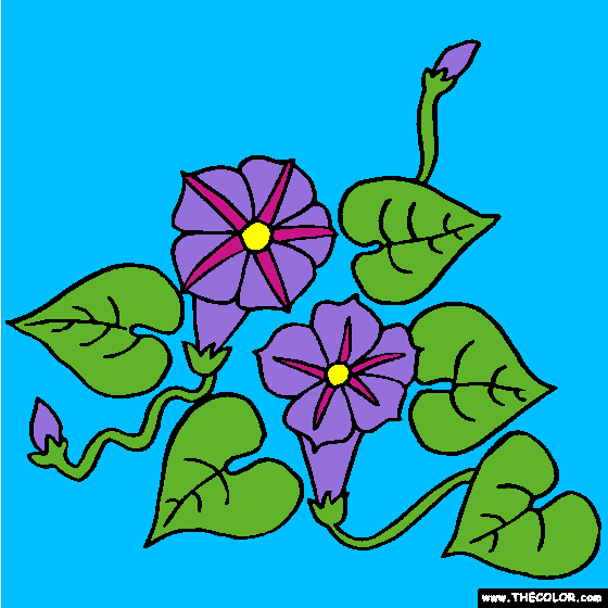 Morning Glory Flower Coloring Page