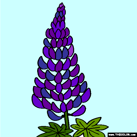 Free Online Coloring Pages - TheColor