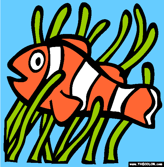 Clown Anemonefish Coloring Page