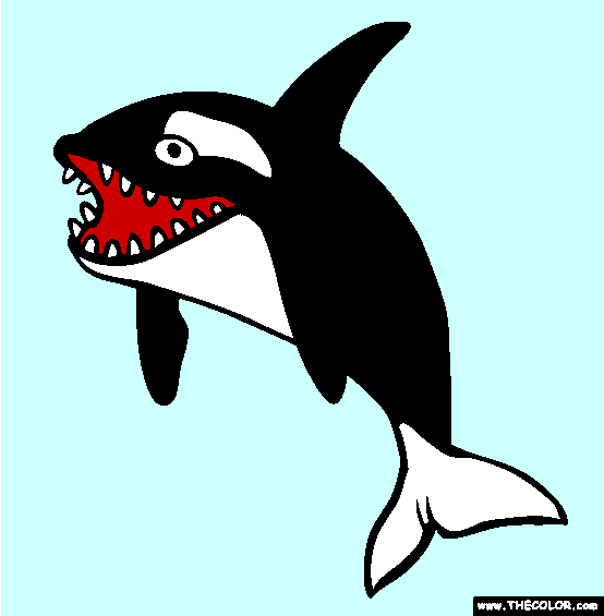 Killerwhale Coloring Page