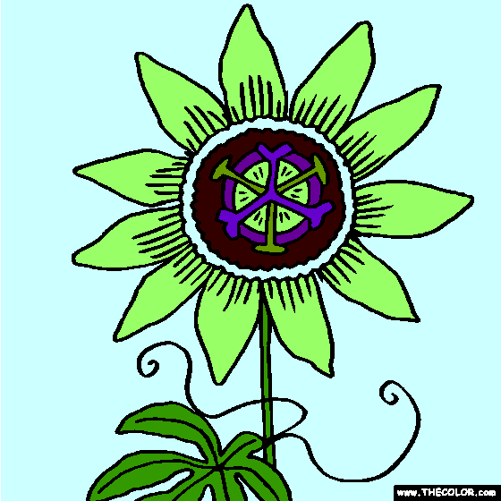 Passion Flower, Passiflora Online Coloring Page