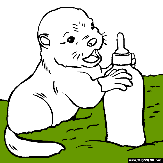 Baby Otter Coloring Page