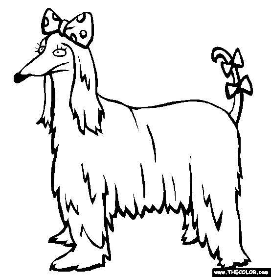 Afghan Hound Dog Coloring Page
