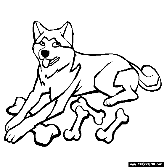 Akita Coloring Page