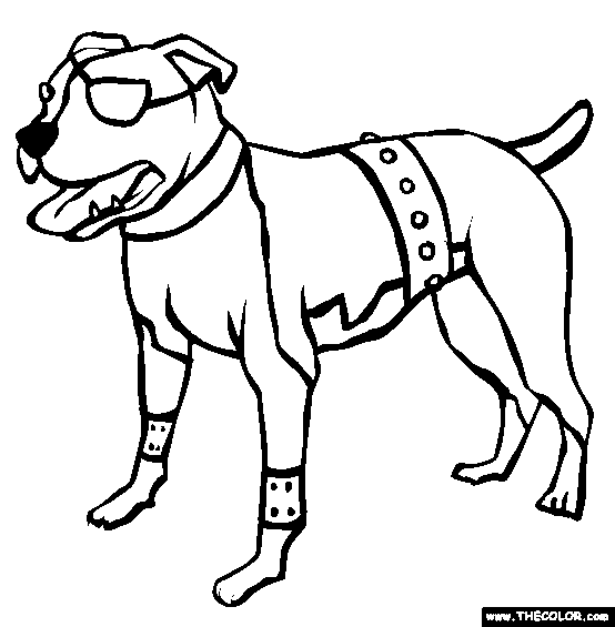 American Pit Bull Terrier Coloring Page