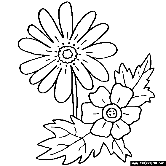 Anemone Flower Online Coloring Page