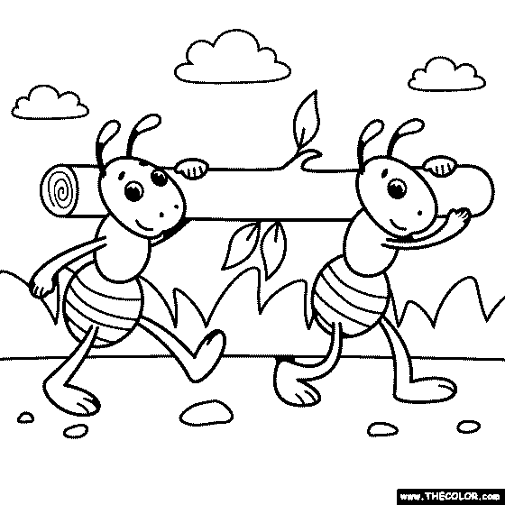 Ant Farm Coloring Page
