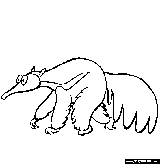 Anteater Coloring Page