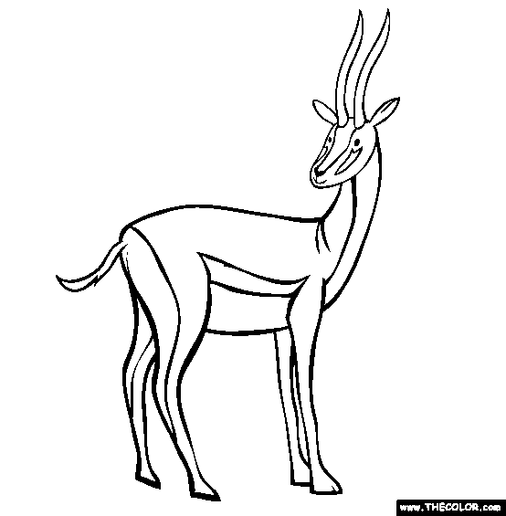 Antelope Coloring Page