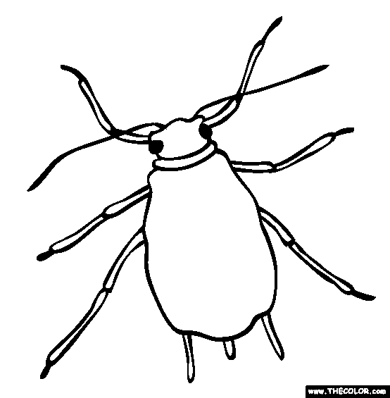 Aphid Coloring Page