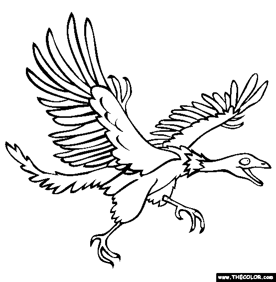 Archeopteryx Coloring Page
