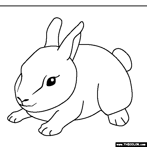 Baby Bunny Coloring Page