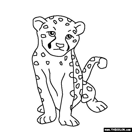 Baby Cheetah Coloring Page
