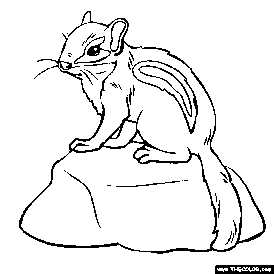 Baby Chipmunk Coloring Page