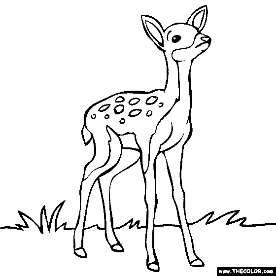 Baby Deer Coloring Page
