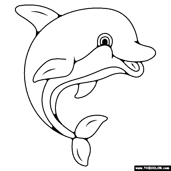 Baby Dolphin Coloring Page
