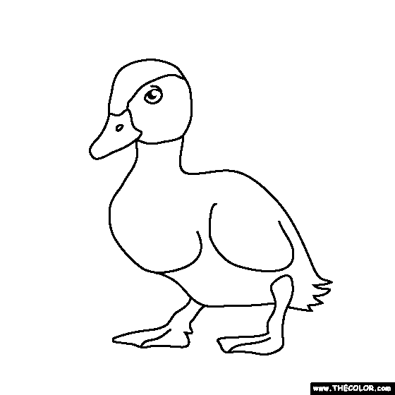 Baby Duck Coloring Page