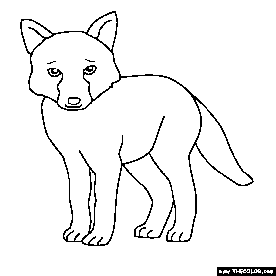 Baby Fox Coloring Page