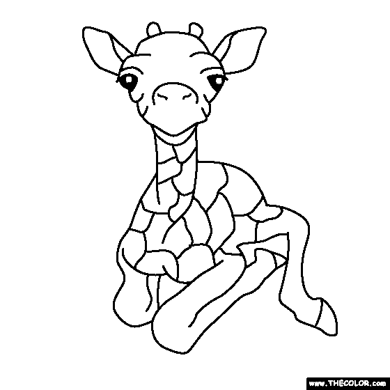 Baby Giraffe Coloring Page