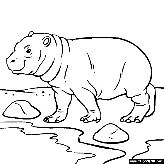 Baby Hippo Coloring Page