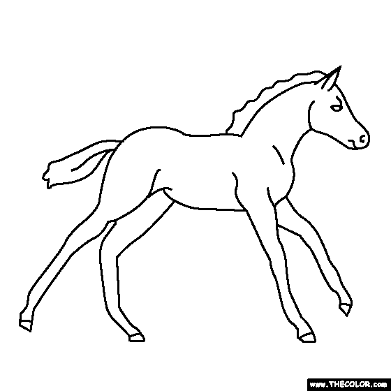 Baby Horse, Pony Coloring Page