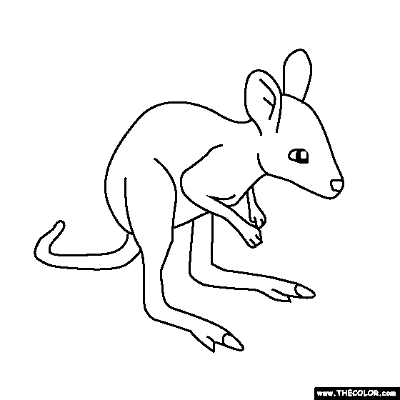 Baby Kangaroo Coloring Page