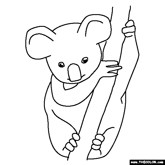 Baby Koala Coloring Page