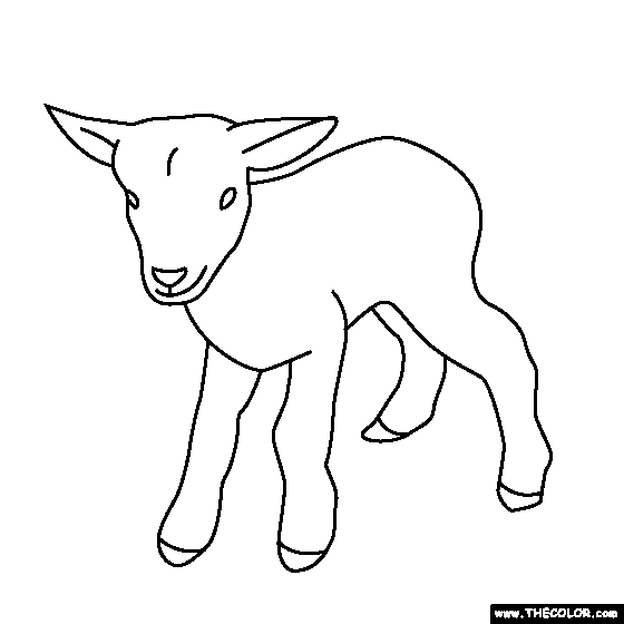 Baby Lamb Coloring Page